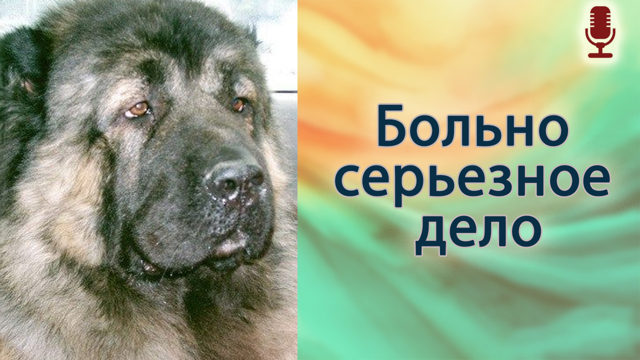 Больно серьезное дело