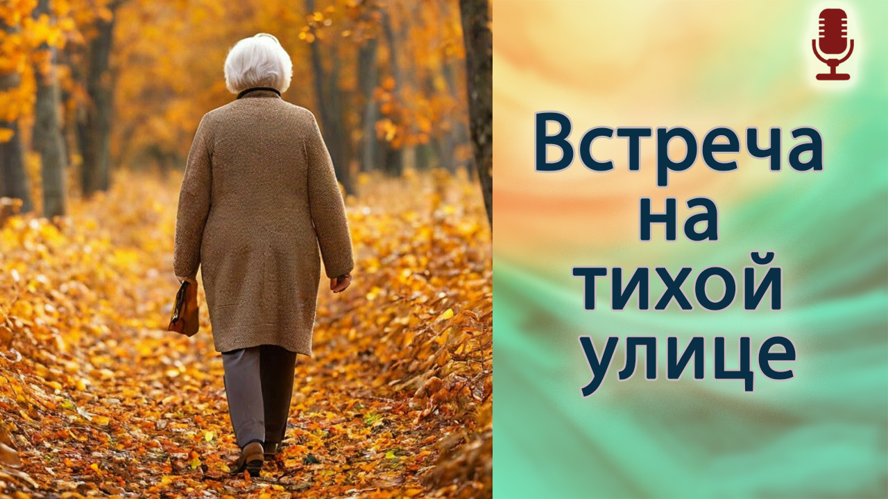 Встреча на тихой улице