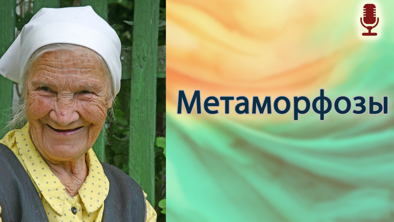 Метаморфозы