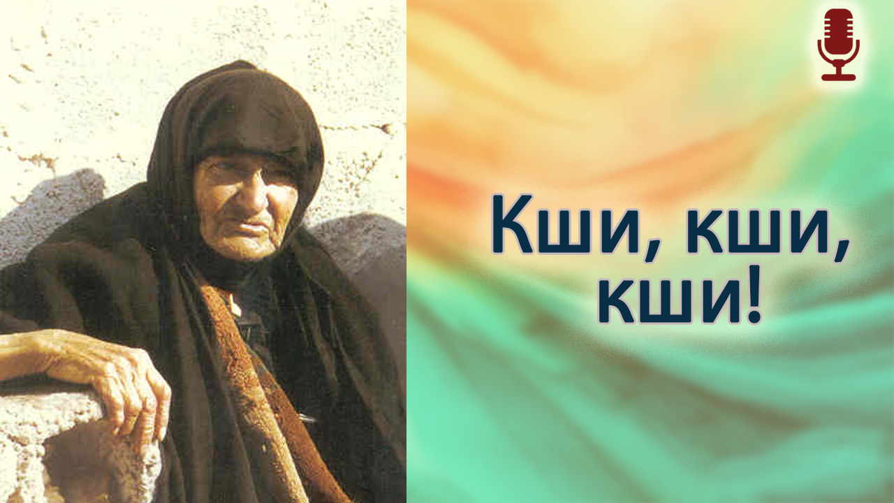 Кши, кши, кши!